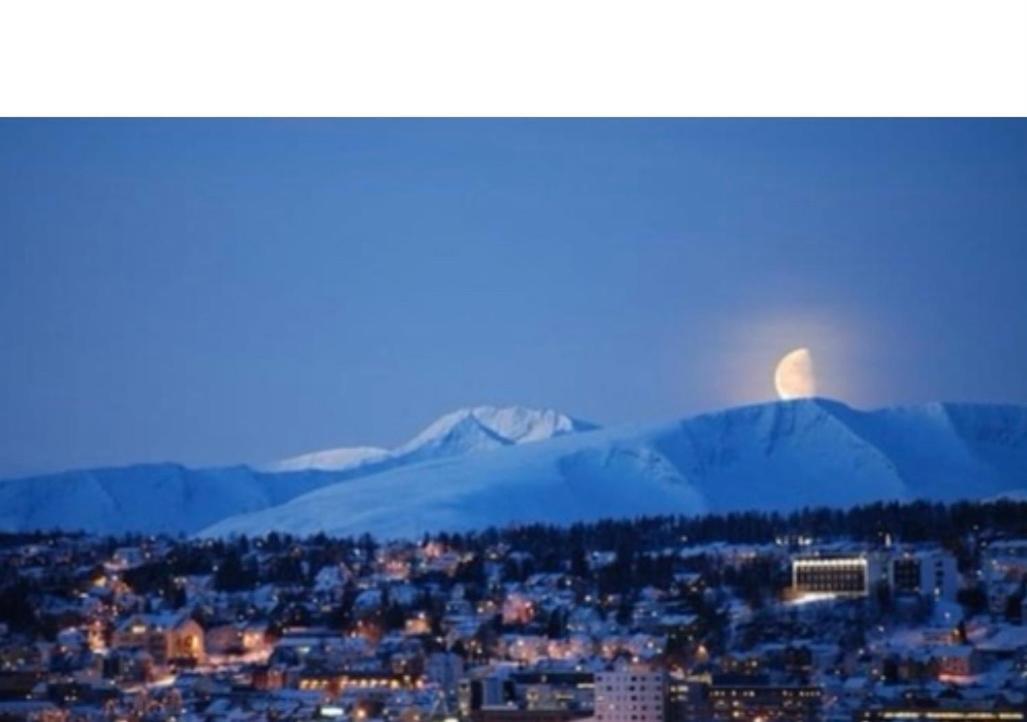 Polar Cozy Apartment - With View And Free Parking Tromsø Buitenkant foto